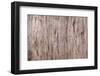 Wood Plank Colored Texture Background, Painted Wooden Floor, Table of Grain Board-Vladimirs-Framed Photographic Print