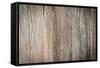 Wood Plank Wall Texture Background-Madredus-Framed Stretched Canvas