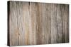 Wood Plank Wall Texture Background-Madredus-Stretched Canvas