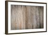 Wood Plank Wall Texture Background-Madredus-Framed Photographic Print