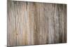Wood Plank Wall Texture Background-Madredus-Mounted Photographic Print