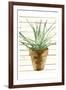 Wood Plant Pot-OnRei-Framed Art Print