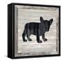 Wood Puppy, 2024-Tim Ashwood-Framed Stretched Canvas