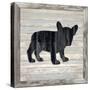 Wood Puppy, 2024-Tim Ashwood-Stretched Canvas