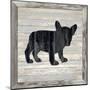 Wood Puppy, 2024-Tim Ashwood-Mounted Art Print