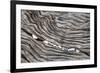 Wood Railroad Tie Pebbles-David Kozlowski-Framed Photographic Print