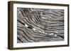 Wood Railroad Tie Pebbles-David Kozlowski-Framed Photographic Print