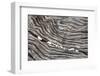 Wood Railroad Tie Pebbles-David Kozlowski-Framed Photographic Print