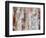 Wood Reflection-Ingeborg Herckenrath-Framed Art Print