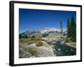 Wood River and Sawtooths, Sawtooth National Recreation Area, Idaho, USA-Julian Pottage-Framed Photographic Print