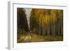 Wood River Aspens-David Lorenz Winston-Framed Art Print