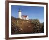 Wood's Hole Lighthouse-Daniel Pollera-Framed Art Print