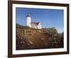 Wood's Hole Lighthouse-Daniel Pollera-Framed Art Print