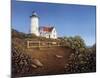 Wood's Hole Lighthouse-Daniel Pollera-Mounted Art Print