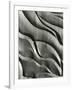 Wood Sculpture, c. 1975-Brett Weston-Framed Photographic Print