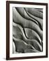 Wood Sculpture, c. 1975-Brett Weston-Framed Photographic Print