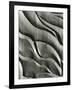 Wood Sculpture, c. 1975-Brett Weston-Framed Photographic Print