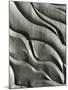 Wood Sculpture, c. 1975-Brett Weston-Mounted Photographic Print