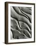 Wood Sculpture, c. 1975-Brett Weston-Framed Photographic Print