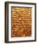 Wood Shingle Siding-Mark E. Gibson-Framed Photographic Print