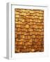 Wood Shingle Siding-Mark E. Gibson-Framed Photographic Print