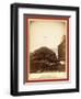 Wood Shooting in the Air, De Smet Mill, Center City, Dak-John C. H. Grabill-Framed Giclee Print