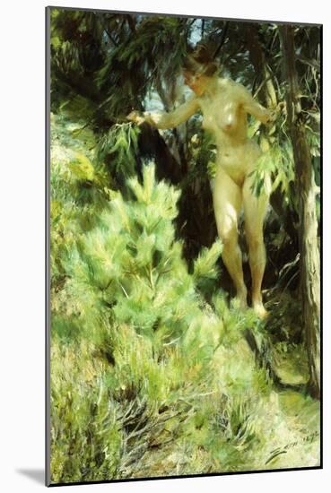 Wood-Sprite, 1892-Anders Leonard Zorn-Mounted Giclee Print