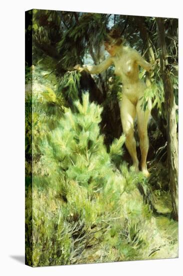 Wood-Sprite, 1892-Anders Leonard Zorn-Stretched Canvas