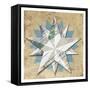 Wood Star-Milli Villa-Framed Stretched Canvas