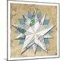 Wood Star-Milli Villa-Mounted Art Print