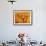 Wood Stork, Lake Corpus Christi, Texas, USA-Rolf Nussbaumer-Framed Photographic Print displayed on a wall