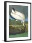 Wood Stork-John James Audubon-Framed Art Print