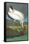 Wood Stork-John James Audubon-Framed Stretched Canvas