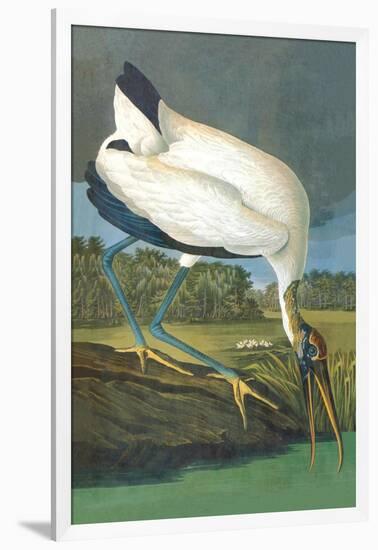 Wood Stork-John James Audubon-Framed Art Print