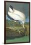 Wood Stork-John James Audubon-Framed Art Print