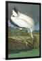 Wood Stork-John James Audubon-Framed Art Print