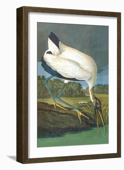 Wood Stork-John James Audubon-Framed Art Print