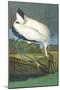 Wood Stork-John James Audubon-Mounted Art Print