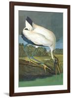 Wood Stork-John James Audubon-Framed Art Print