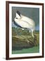 Wood Stork-John James Audubon-Framed Art Print