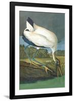 Wood Stork-John James Audubon-Framed Art Print