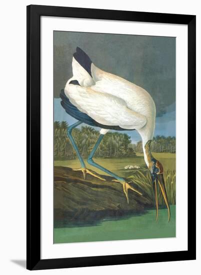 Wood Stork-John James Audubon-Framed Art Print