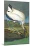 Wood Stork-John James Audubon-Mounted Art Print