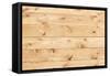 Wood Texture Background. Old Boards.-primopiano-Framed Stretched Canvas