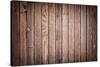 Wood Texture. Background Old Panels-Kalina Vova-Stretched Canvas