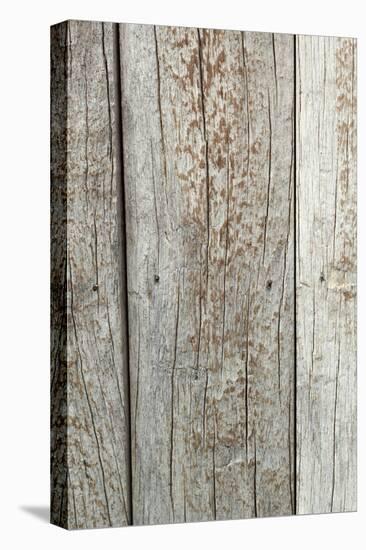 Wood Texture. Background Old Panels-seagames50-Stretched Canvas