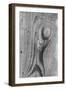 Wood Texture Background-Bokic Bojan-Framed Photographic Print