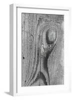 Wood Texture Background-Bokic Bojan-Framed Photographic Print
