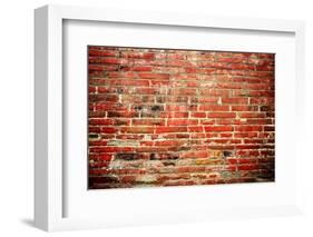 Wood Texture Background-NicholasHan-Framed Photographic Print