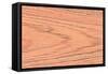 Wood Texture for Pattern and Background-joytasa-Framed Stretched Canvas